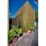 A building with a lot of plants in it