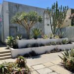 A garden with many plants and trees in it