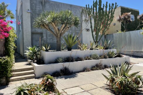 A garden with many plants and trees in it